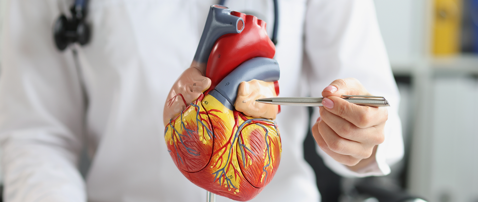 When Should You Consult a Cardiologist in Serilingampalle?